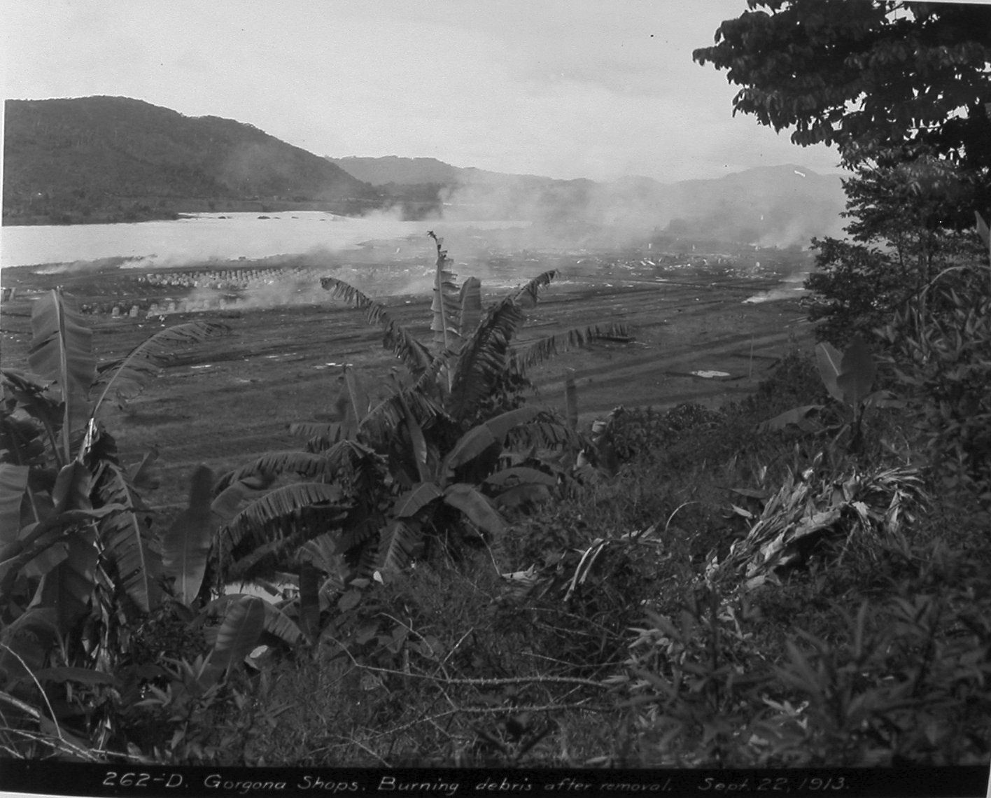Estaciones de la Línea Original: Gorgona